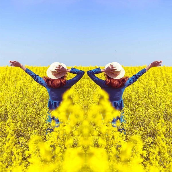 🔥2025 HOT SALE🔥Smartphone Camera Mirror Reflection Clip Kit